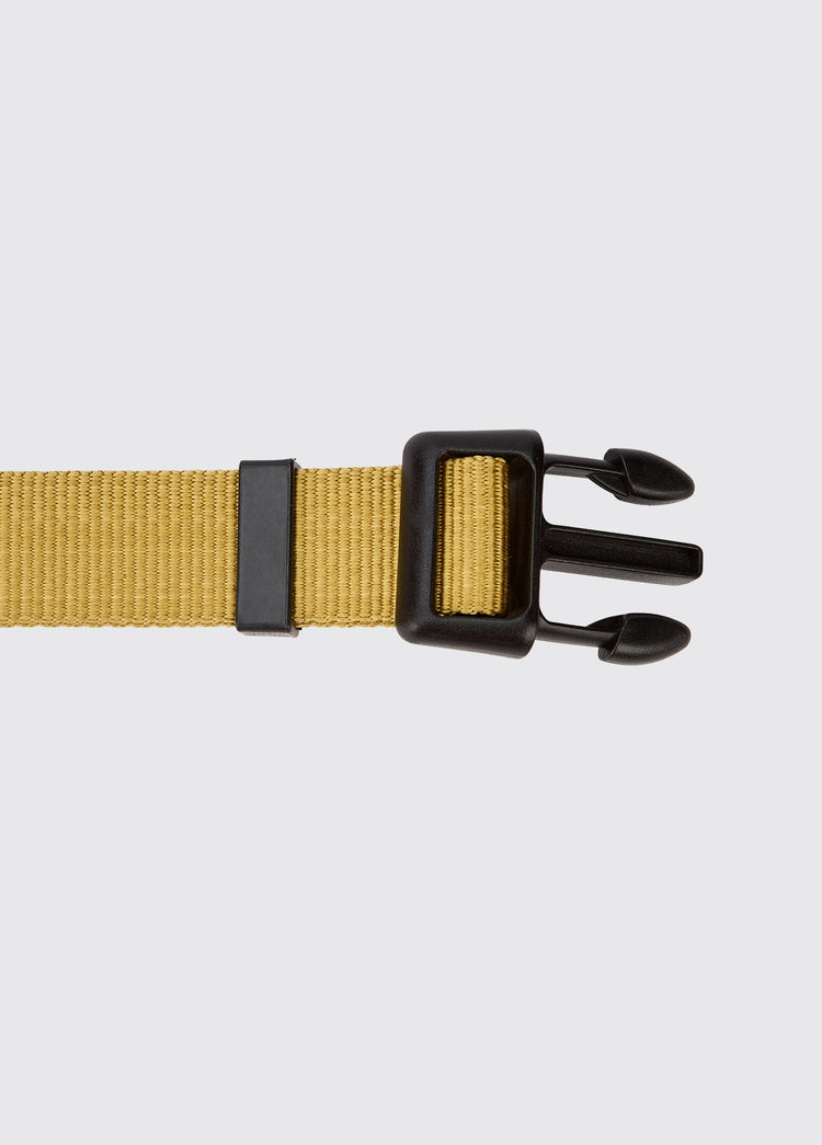 Apollo Nylon Hondenhalsband