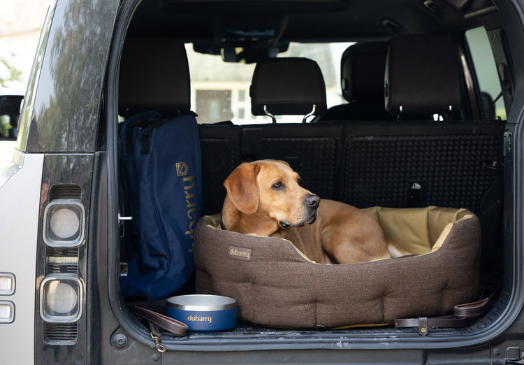 Buster Tweed Hondenmand