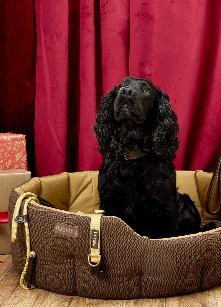 Buster Tweed Hondenmand